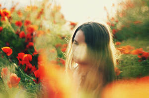 Hidden in the Field by PersephonaLight