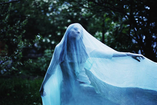Blue Ghost