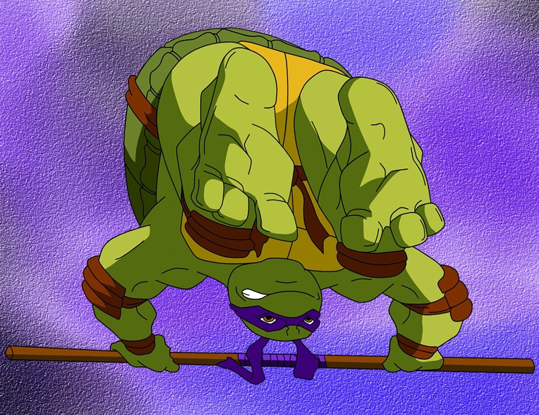 TMNT - Donatello's feet up