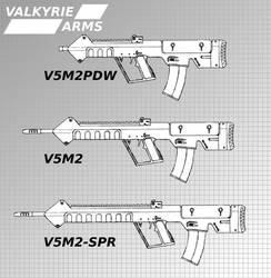 Valkyrie Arms V5M2