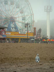 Bird's Eye View Of The Boardwalk