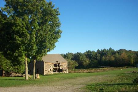 Old shed