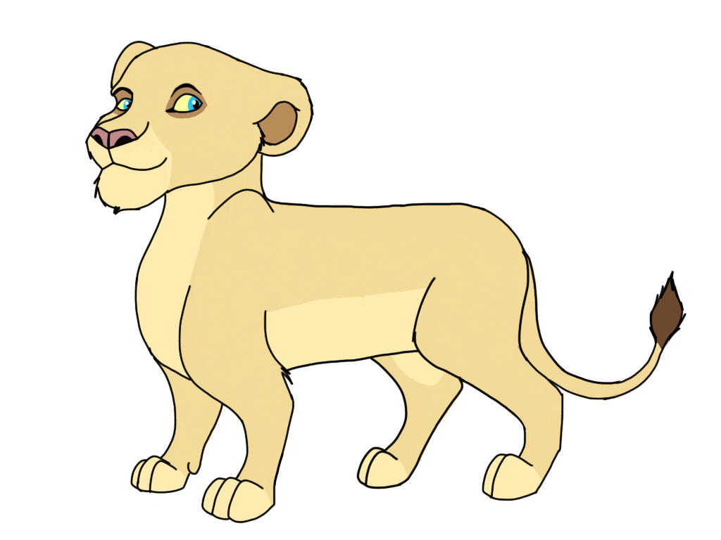 Female Lion for Adoption - OPEN