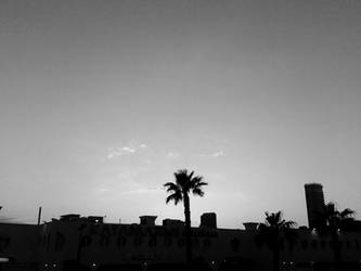 Alicante b-w series XV