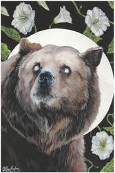 Bear and Bindweed