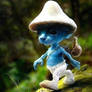 Smurf cat