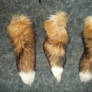 Red Fox Tails:Bottom View