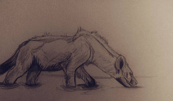 Hyena Sketch