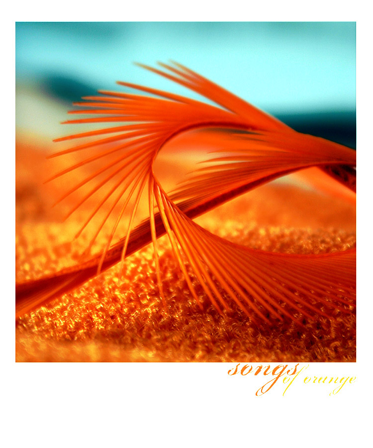 songs of orange