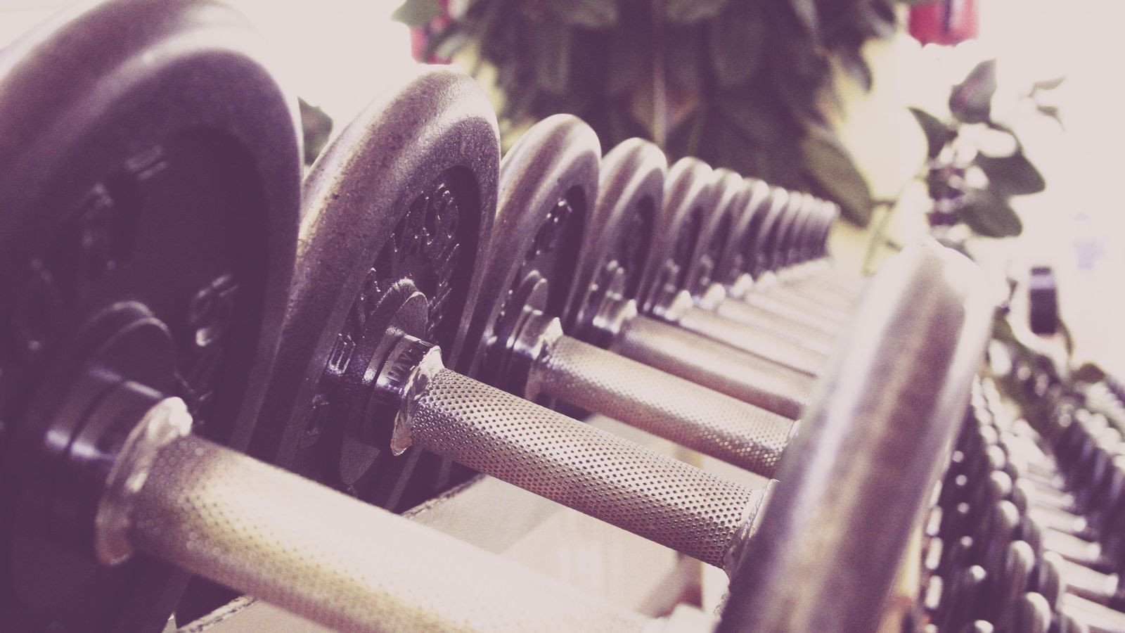 Dumbbells Sports Gym 106546 1600x900