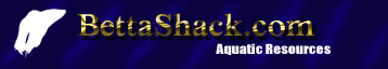 Bettashack Banner - Fish