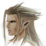 Xehanort aka Xemnas WIP