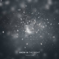 Snow in the Night