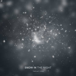 Snow in the Night