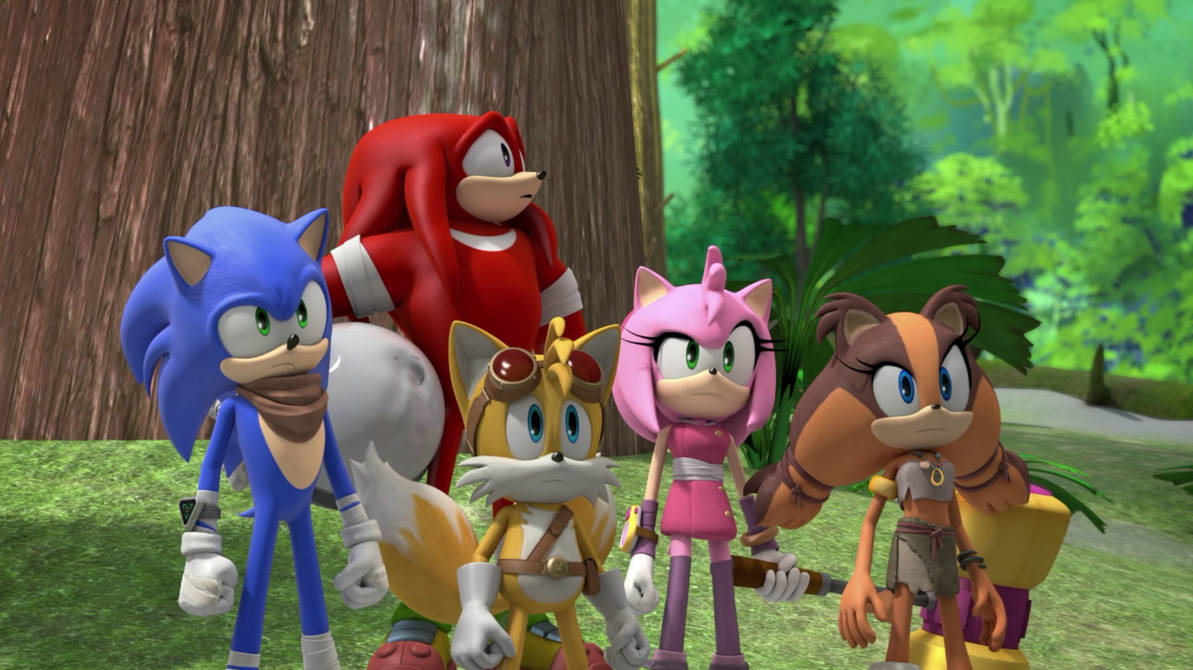 Sonic Knuckles Tails Amy and Sticks by SonicBoomGirl23 on DeviantArt