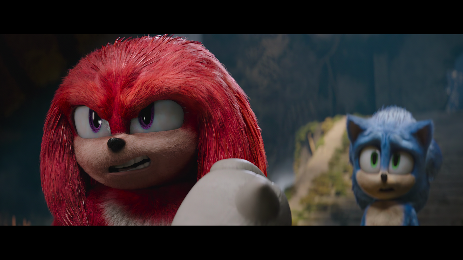 Sonic the Hedgehog 2 - Knuckles and Sonic by SonicBoomGirl23 on DeviantArt