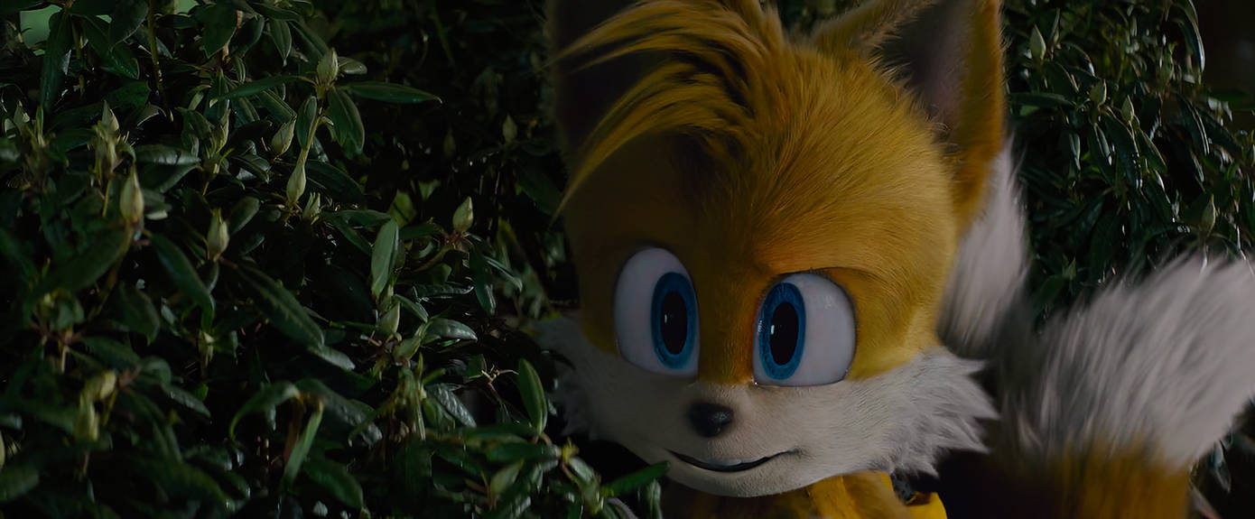 06 Tails Sonic the Hedgehog 2 - Tails #06 by SonicBoomGirl23 on DeviantArt