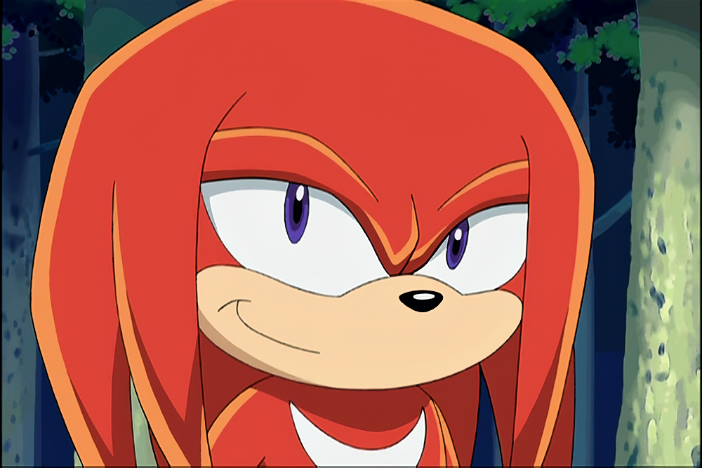 Sonic X - Knuckles #15 by SonicBoomGirl23 on DeviantArt