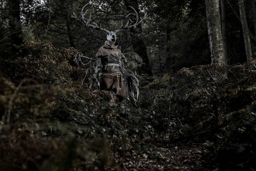 Leshen guardian of the woods