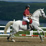 Horsepower