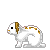 x Rabbit icon