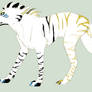 Zebra wolf adopt :closed: