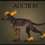 Character auction - starts at 5$!