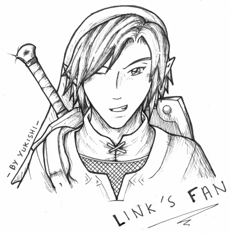 Link Twilight Princess