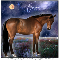 Orion