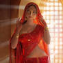 Kinnar - Hijra