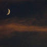 Moon and Mist