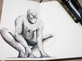 Amazing Spider-Man 2: Doodle