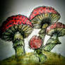 Mushrooms