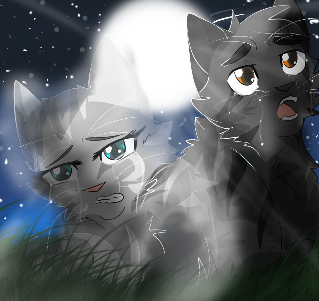 Graystripe and Silverstream by TheNightlySpirit on DeviantArt