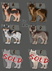 Discounted Unsold Puppy Adopts [4/6 OPEN]