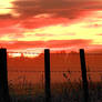 My shades of Crimson