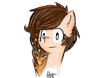 Browne OC Pony