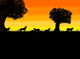 Wolves in the Sunset