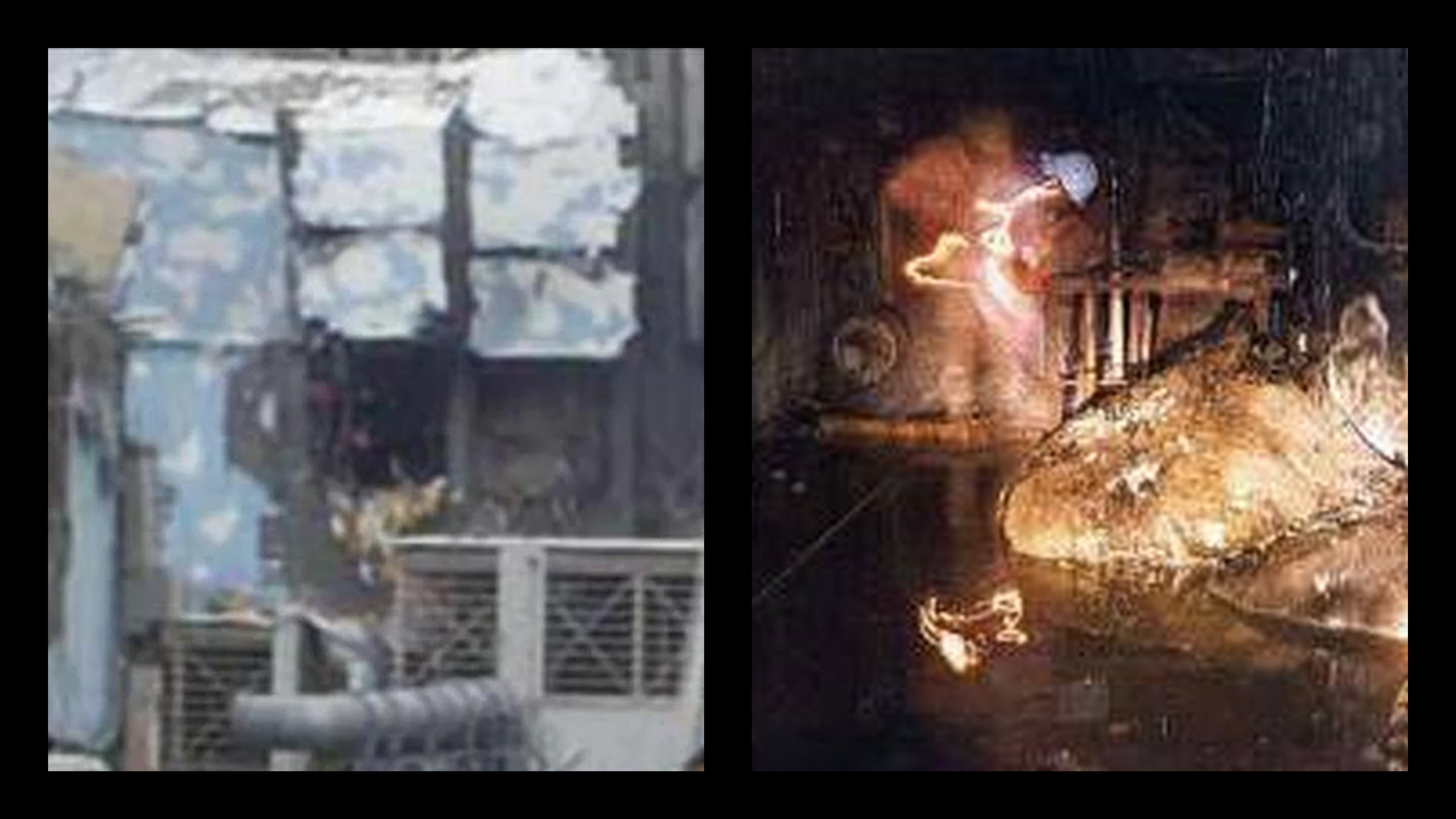 elephant foot by Iori404 on DeviantArt