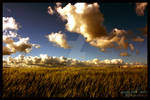 cornfield2 by SuperMario82