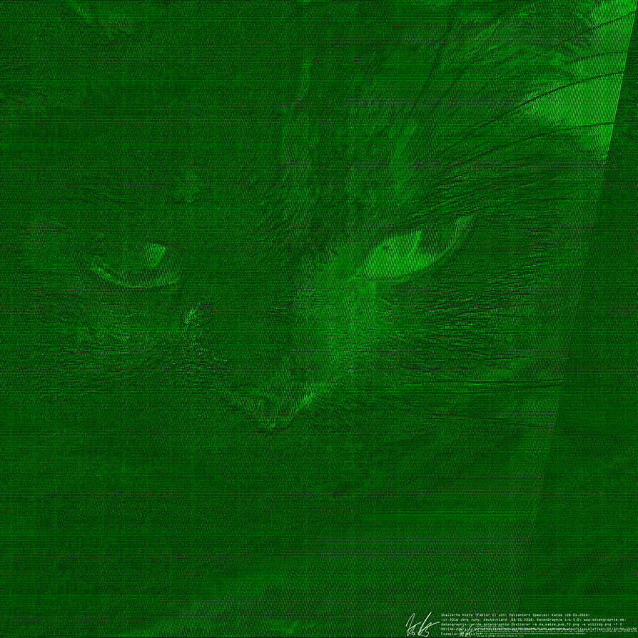 datagrafy: DeviantArt Spezial: Katze by datengraphie