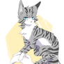 Jayfeather