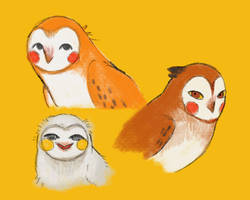 Owl Boys