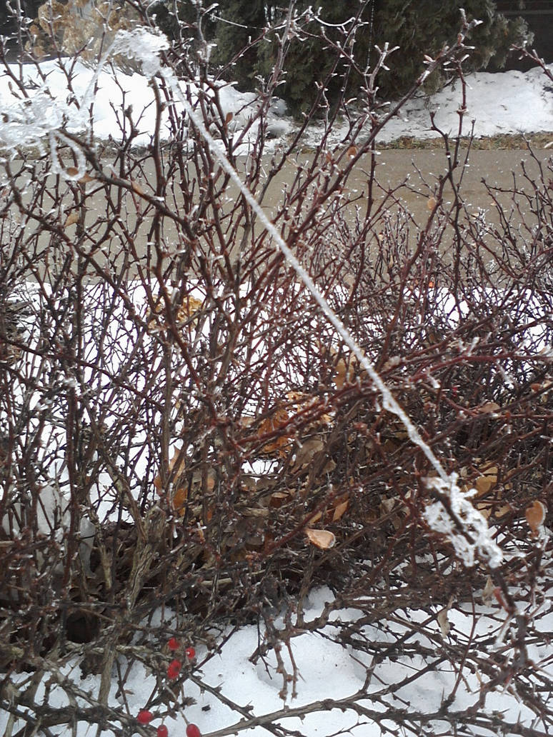 Ice String by k15thkirst on DeviantArt