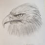 Eagles 1