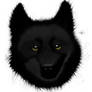 Black Wolf