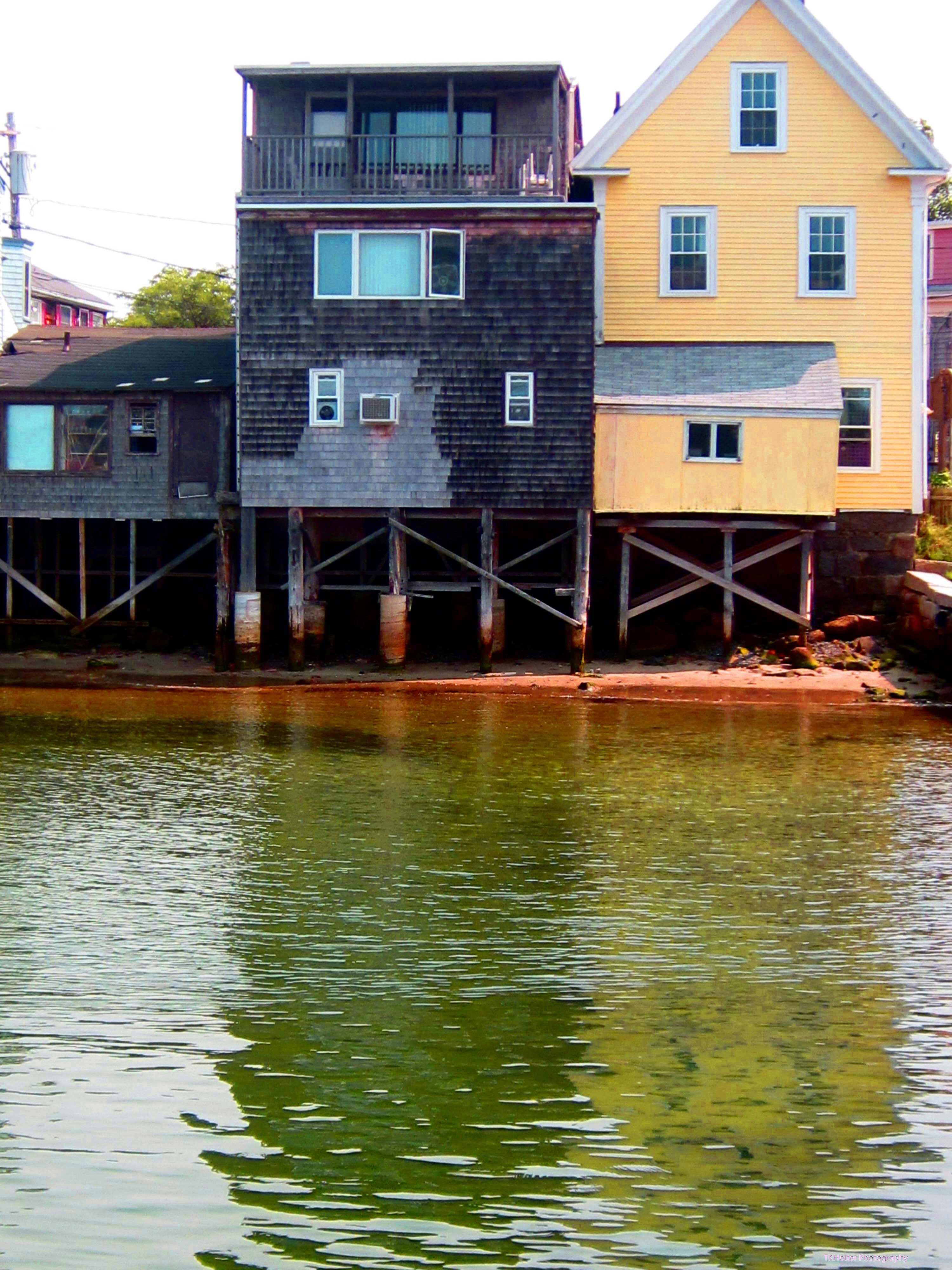 Green Grass..High Tide