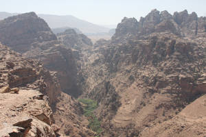 Oasis in a Canyon of Petra