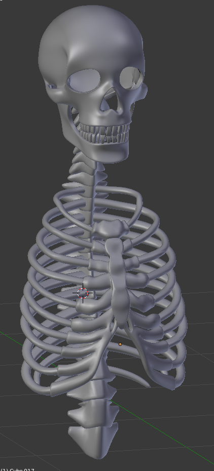 Time to make a human skeleton model by Jakub42042-Funtime on DeviantArt