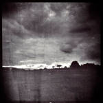 Field Of Escape by siamesesam